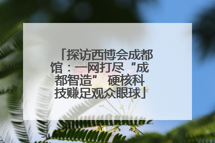 探访西博会成都馆：一网打尽“成都智造” 硬核科技赚足观众眼球